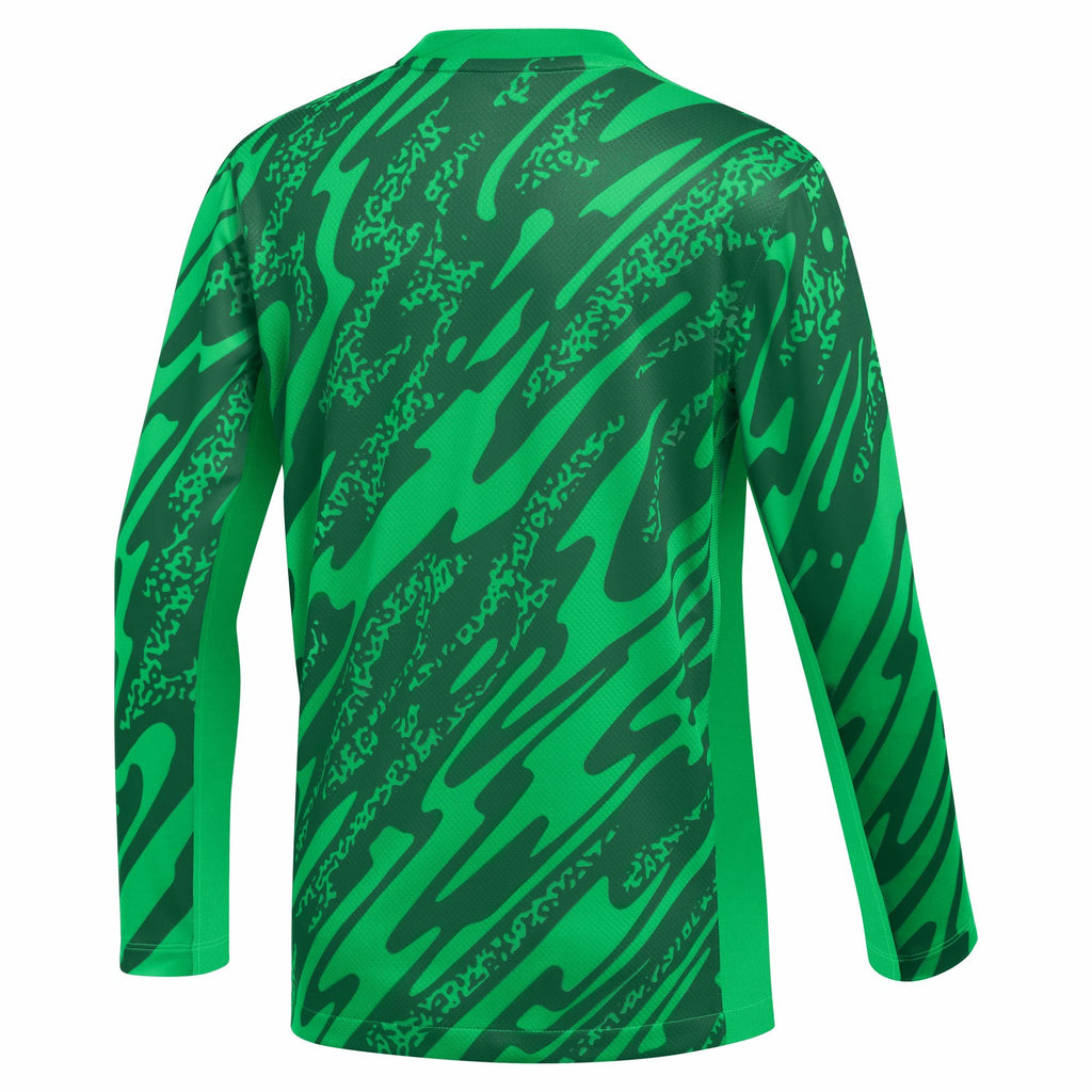 Nike Dri-FIT Gardien V GK Jersey US Youth Soccer Long-Sleeve Jersey product image 2, provided for visual reference and