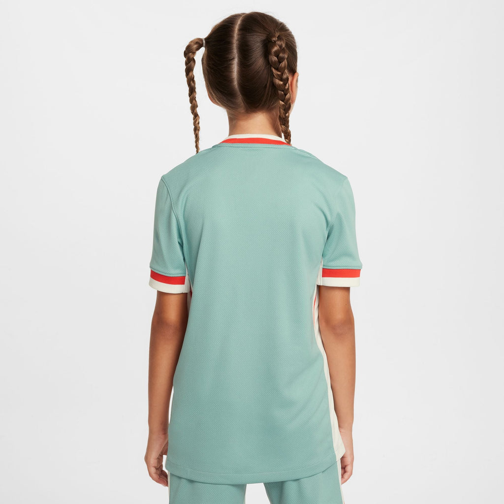 Nike Atletico Madrid 2024/25 Stadium Away Big Kids' Dri-FIT Soccer Replica Jersey product image 2, provided for visual
