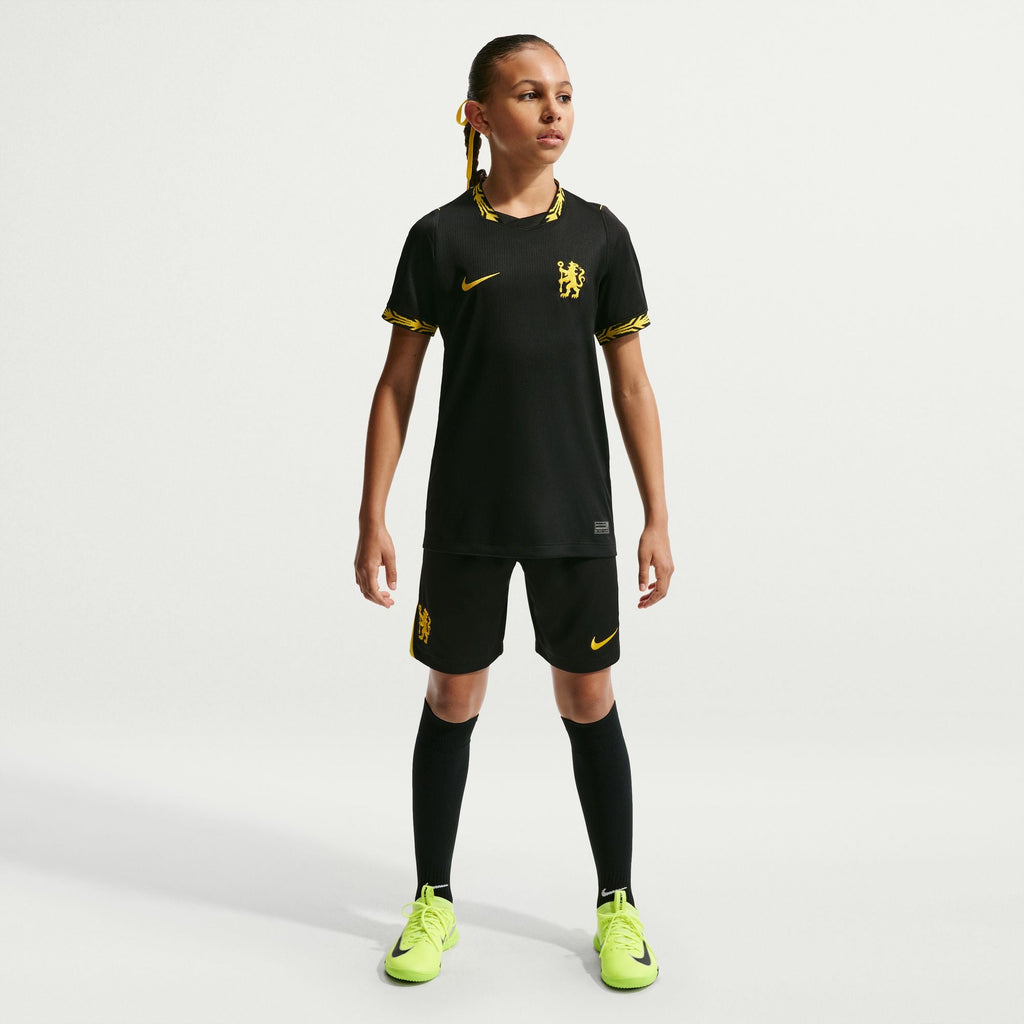 Nike Chelsea FC 2026/27 Stadium Away Big Kids' Nike Dri-FIT Soccer Replica Jersey product image 7, provided for visual