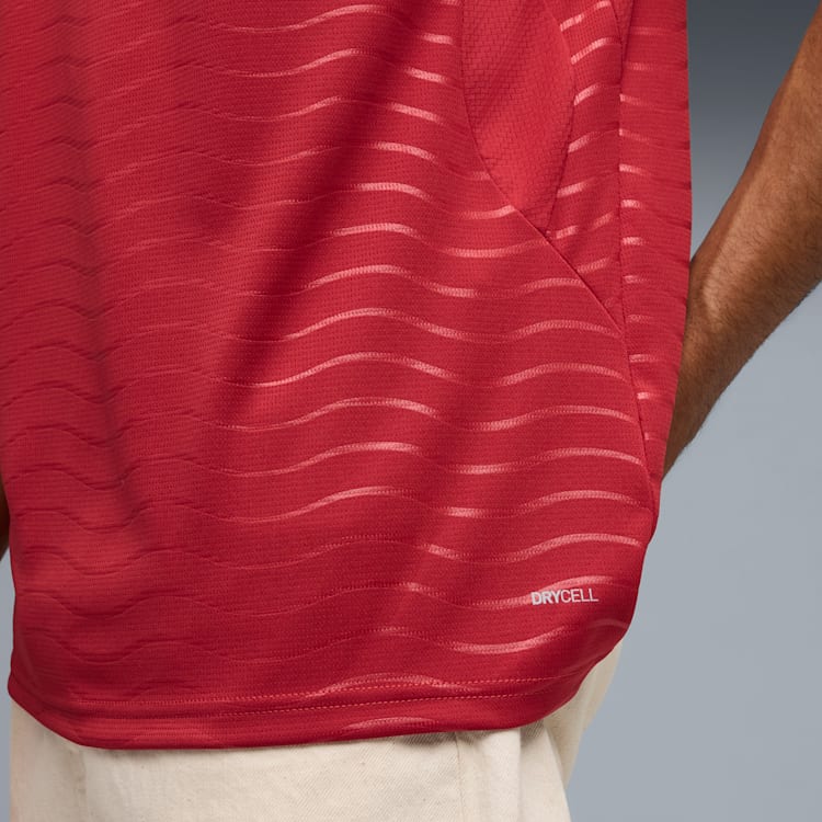 Puma Portugal 26 Men Replica Home Jersey product image 4, provided for visual reference and product detail review