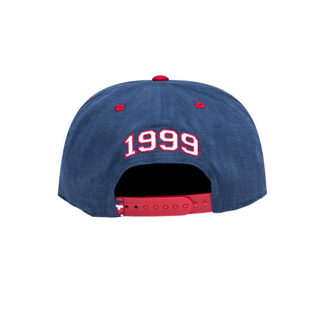 Fan Ink USWNT Swingman 1999 Snapback Hat product image 4, provided for visual reference and product detail review