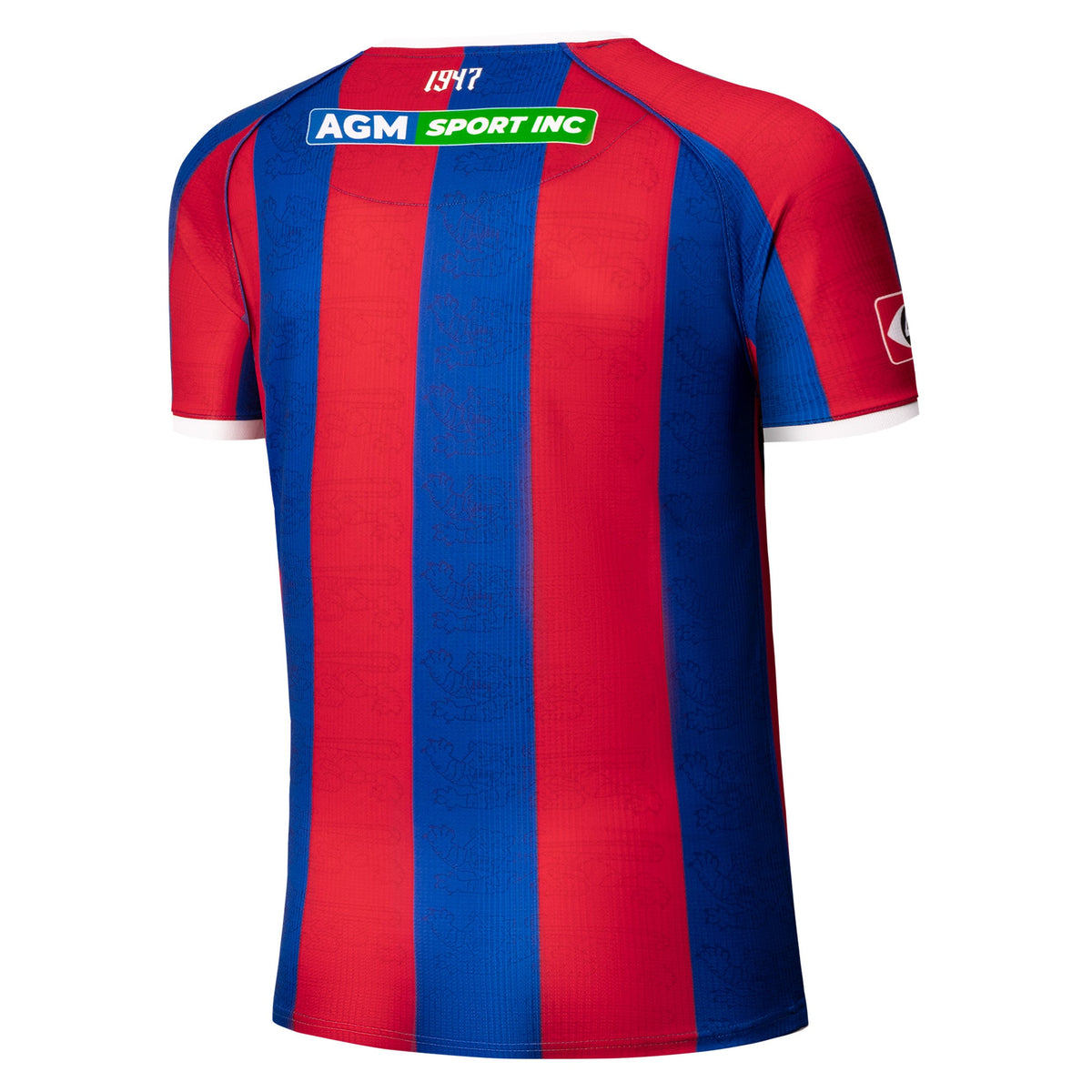 Umbro Club Deportivo Fas Home Soccer Jersey 24/25 product image 2, provided for visual reference and product detail review