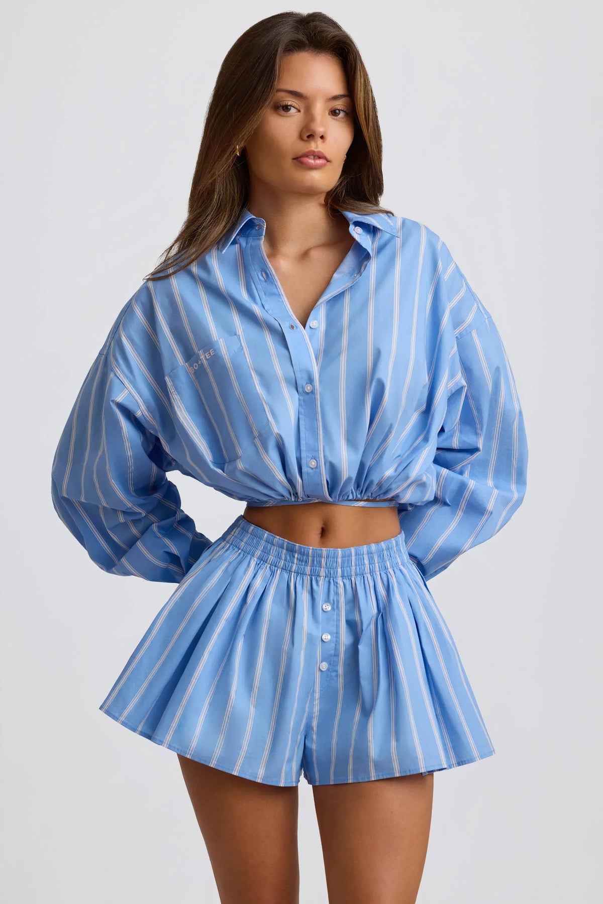 Cotton Poplin Stripe Pleated Shorts in Blue Stripe